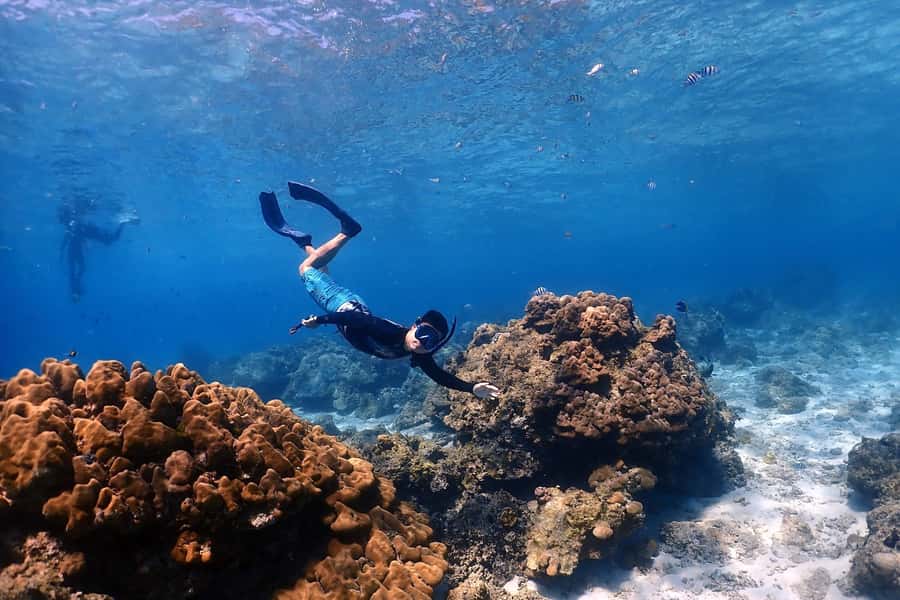 Phuket: Racha Islands Premium Tour with Snorkel & Lunch - Price and what you actually get for $96