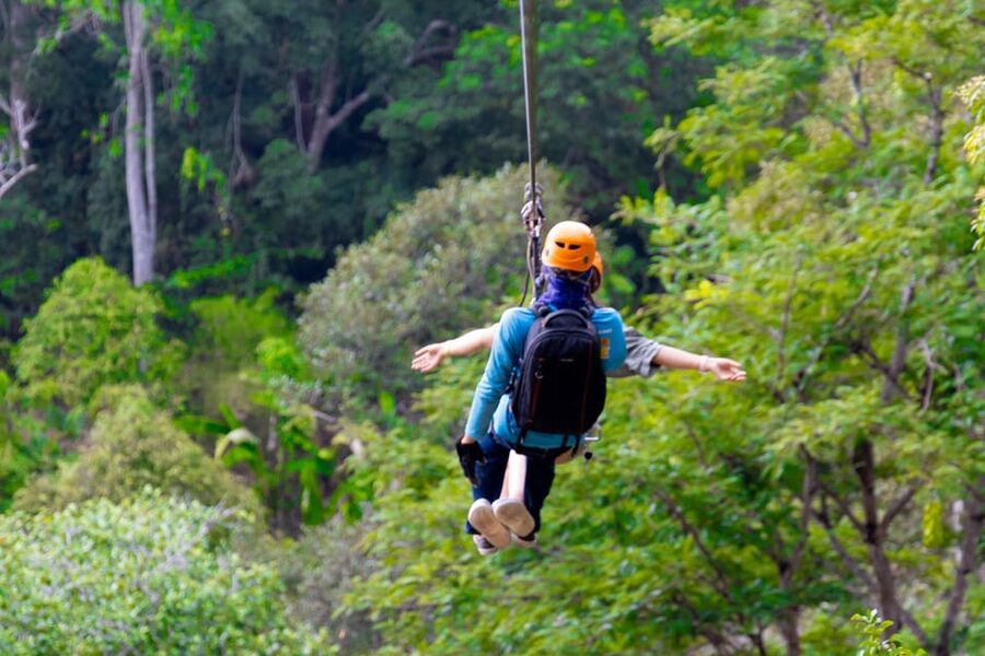 Phuket: Rainforest Eco Zipline Expedition - The treetop course itself: ziplines, sky bridges, and abseil sections
