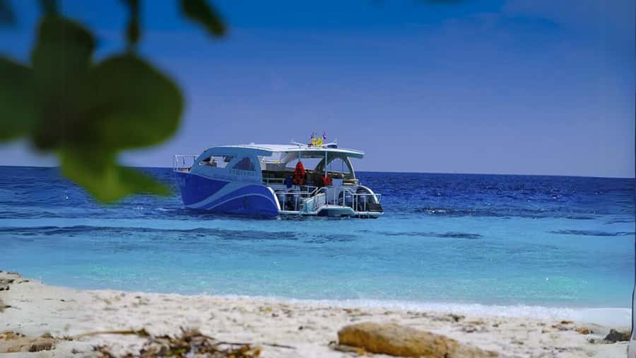 Phuket: Raya Island, Maithon Island, & Dolphin Spotting Tour - Should You Book This Phuket Raya, Maithon, and Dolphins Tour?