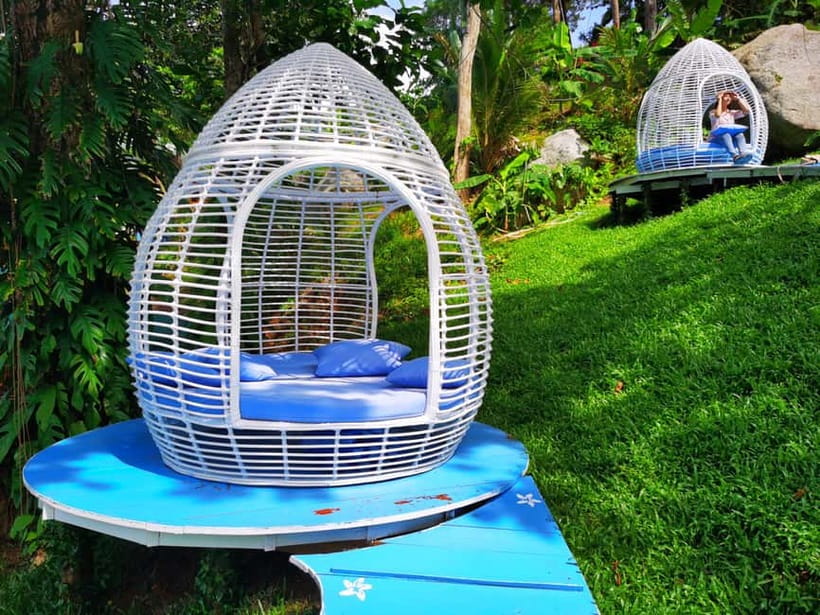 Phuket: Rock Beach Swing Entry Ticket - Bird’s nests and photo spots: where the visit turns creative