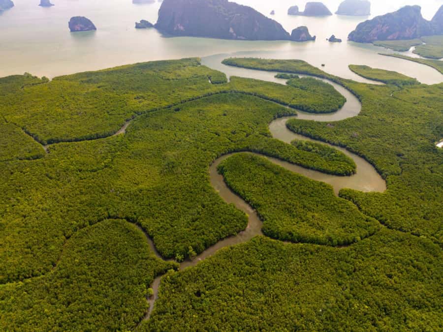 Phuket : Samet Nangshe and Cheow Lan Lake Adventure Day Tour - Khao Sok National Park to Cheow Lan Lake: dam-shaped waters and real boat time