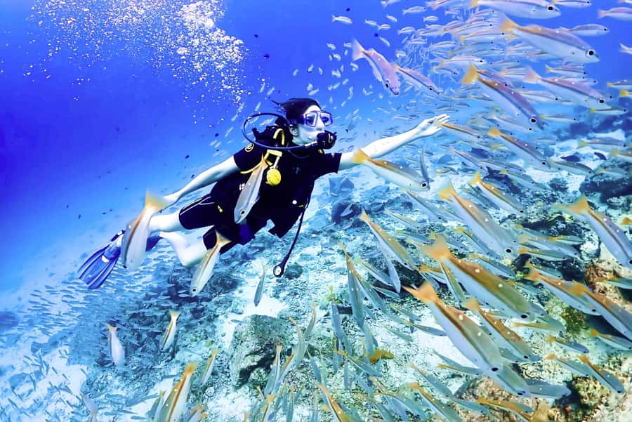 Phuket: Scuba Diving Maithon Or Racha Islands For All Levels - What makes this Phuket reef day work so well