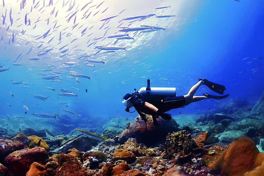 Phuket: Scuba Diving Maithon Or Racha Islands For All Levels - Phuket reef choices: Racha Yai, Racha Noi, and Maiton Island