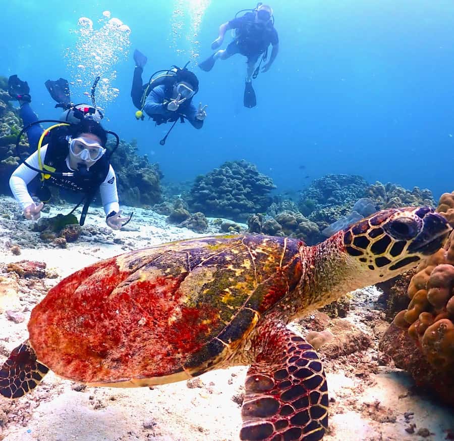 Phuket: Scuba Diving Maithon Or Racha Islands For All Levels - Small-group instruction and fitting: gear is included for a reason