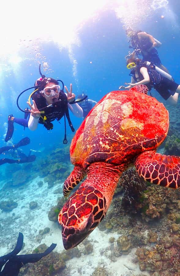 Phuket: Scuba Diving Maithon Or Racha Islands For All Levels - Racha Yai first-timer setup: short entry, big payoff