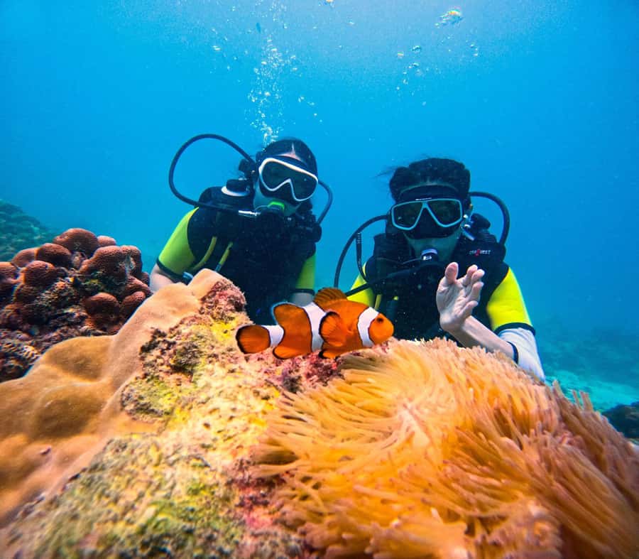 Phuket: Scuba Diving Maithon Or Racha Islands For All Levels - Racha Noi highlights: the reef stop that often gets top billing