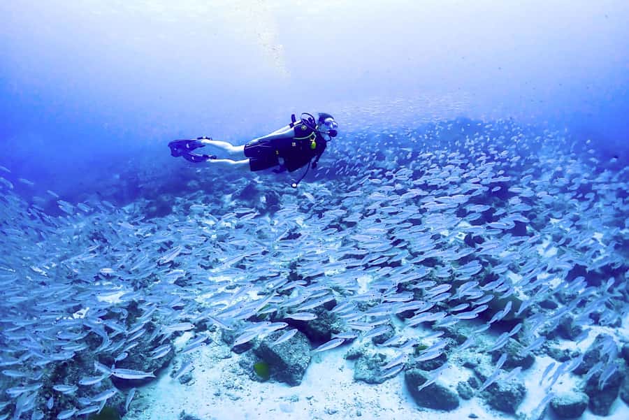 Phuket: Scuba Diving Maithon Or Racha Islands For All Levels - Maiton Island for a quieter, private-feeling session