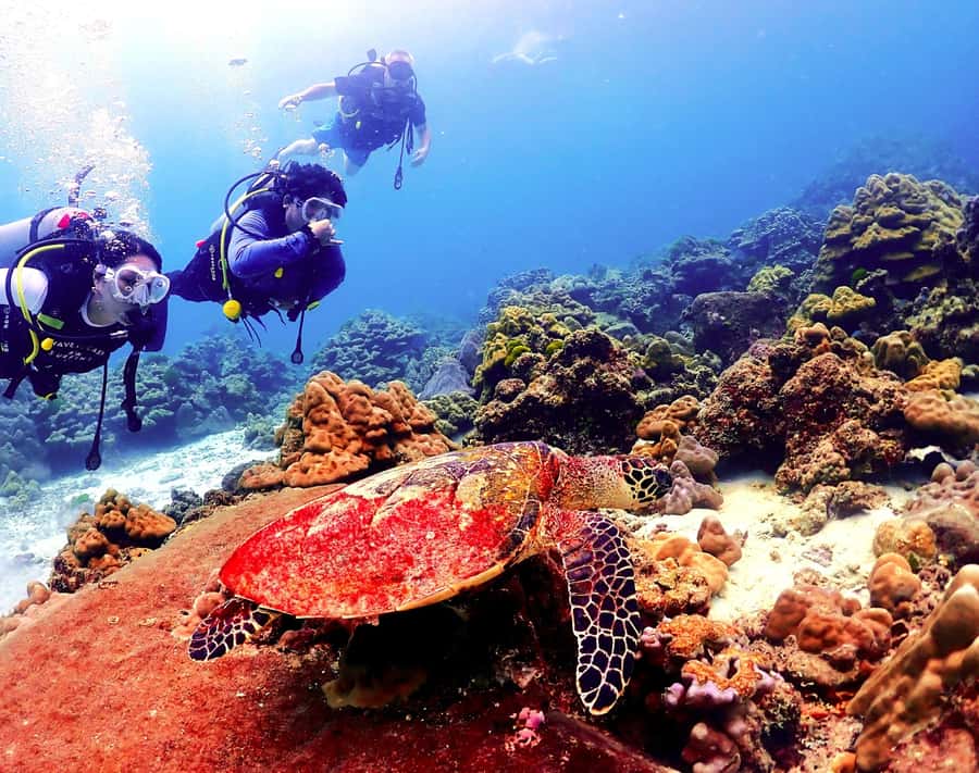 Phuket: Scuba Diving Maithon Or Racha Islands For All Levels - The day runs like clockwork: hotel pickup to pier safety brief