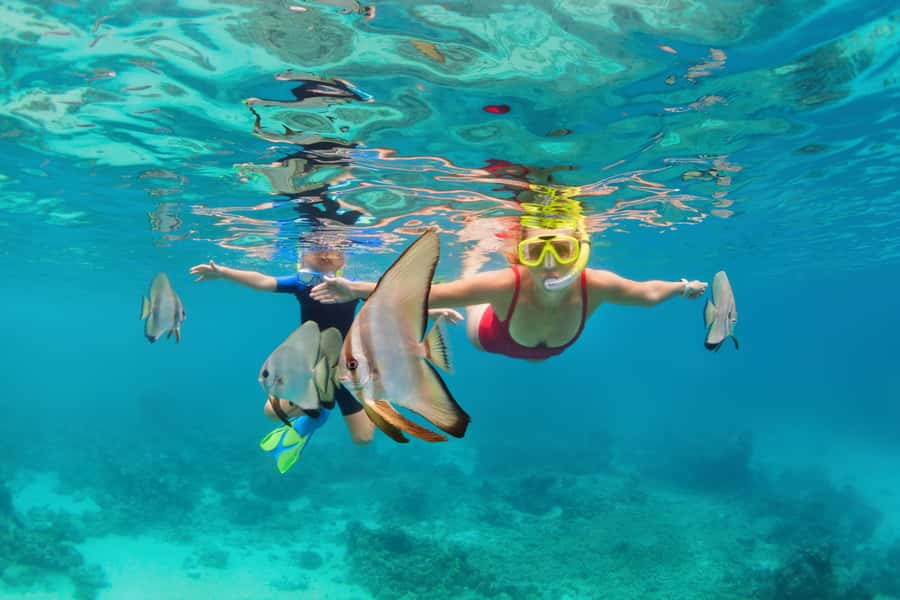 Phuket: Similan day full day trip by speedboat - Key highlights to know before you go