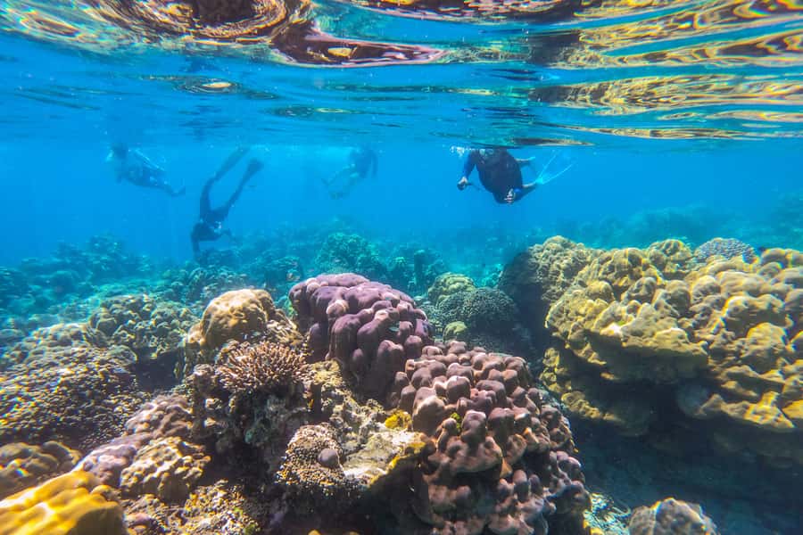 Phuket: Similan day full day trip by speedboat - Why this Phuket to Similan speedboat day feels so tightly run