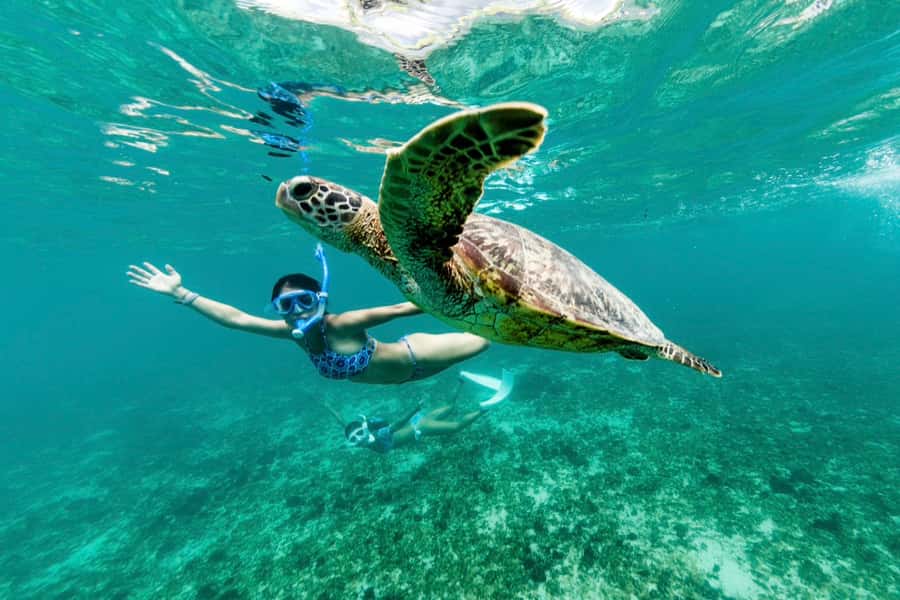 Phuket: Similan day full day trip by speedboat - Price check: what $83 covers, and what can add up