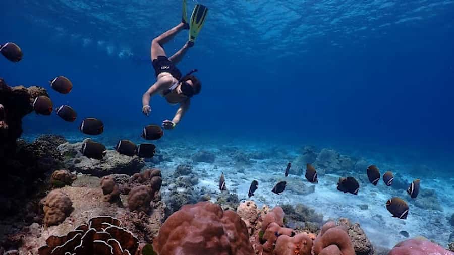 Phuket: Similan Islands Day Tour by Speedboat with Lunch - Price and park fees: what $112 does and does not cover