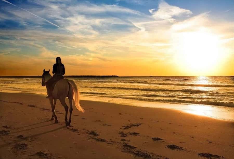 Phuket: Sunset Beach Horseback Journey - Key Things I’d Notice Before You Go