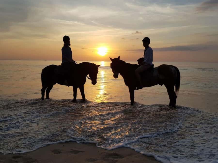 Phuket: Sunset Beach Horseback Journey - A One-Hour Phuket Sunset Ride by Nai Yang Beach