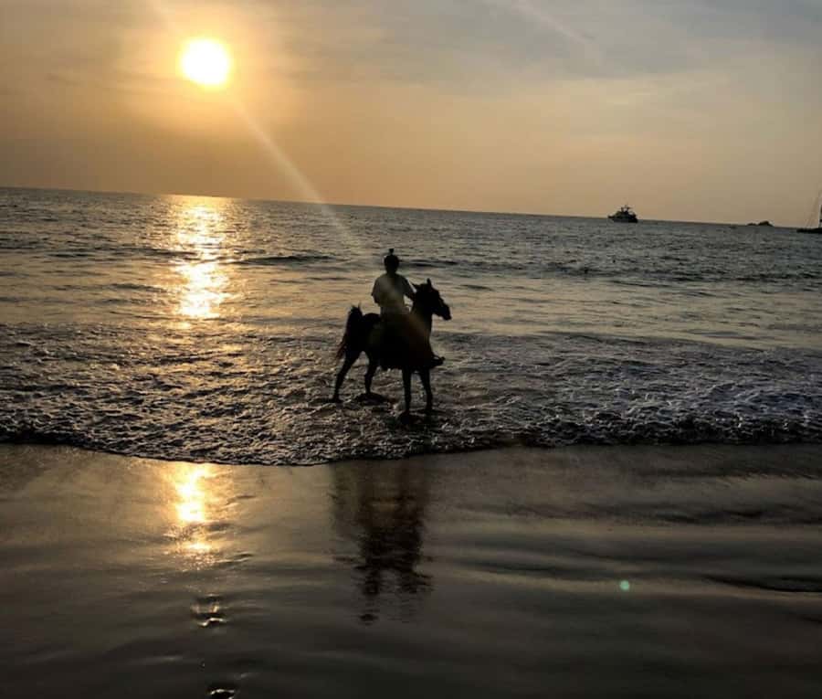 Phuket: Sunset Beach Horseback Journey - Through the Gardens, Then Out to the Beach