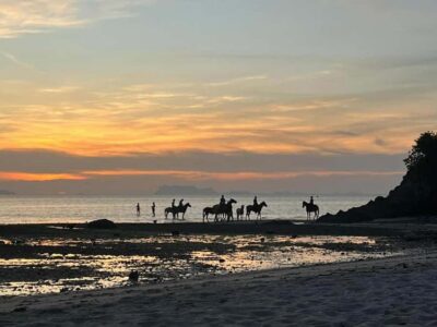 Sunset Beach Horseback Journey