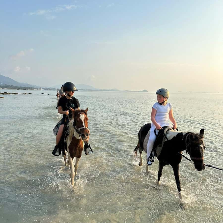 Phuket: Sunset Beach Horseback Journey - Safety and Rider Rules You Need to Take Seriously