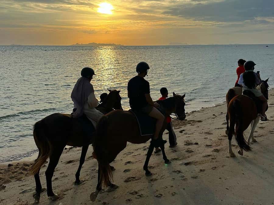 Phuket: Sunset Beach Horseback Journey - About the Value: What $91 Buys (and What It Does Not)