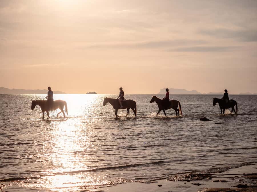 Phuket: Sunset Beach Horseback Journey - Who This Phuket Horse Ride Fits Best