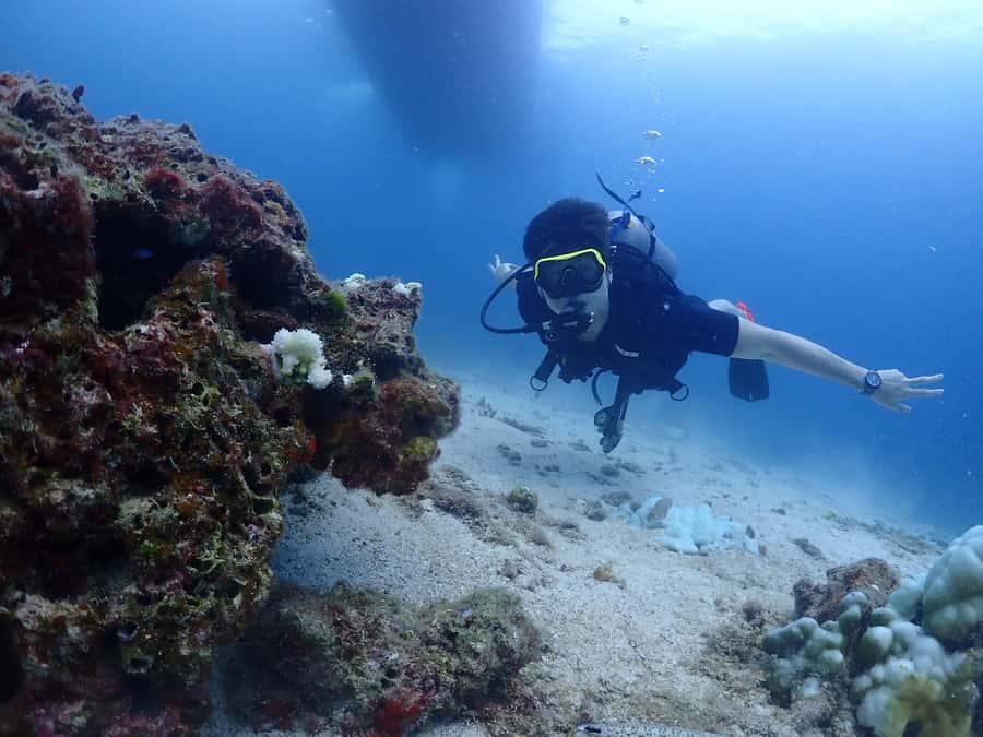 Phuket: Try SCUBA DIVING Full Day Experience 2 Dives - Key highlights to know before you go