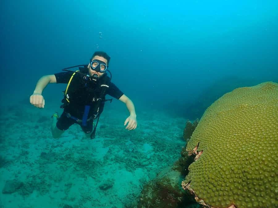 Phuket: Try SCUBA DIVING Full Day Experience 2 Dives - What you will see around Racha Yai: marine life, coral, and a controlled training depth