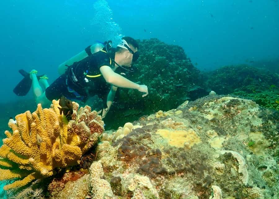 Phuket: Try SCUBA DIVING Full Day Experience 2 Dives - Safety, gear fit, and why the instructor ratio matters