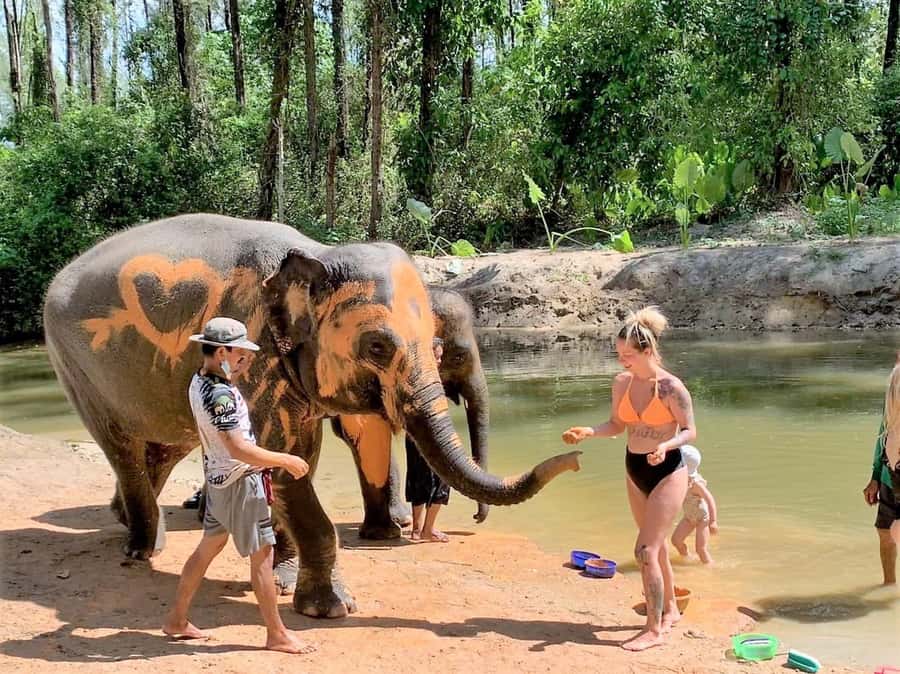 Phuket: Turtles, Rafting & Elephants Private Ethical Tour - Wang Kiang Koo bamboo rafting: slow water, real paddlers, jungle views