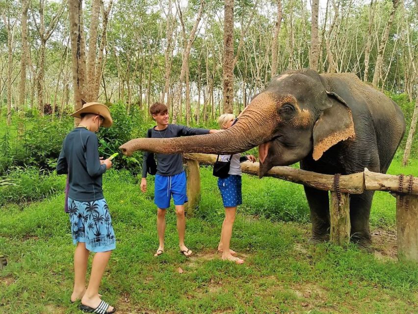 Phuket: Turtles, Rafting & Elephants Private Ethical Tour - Ton Pling Waterfall and swim time: the part that makes you change clothes