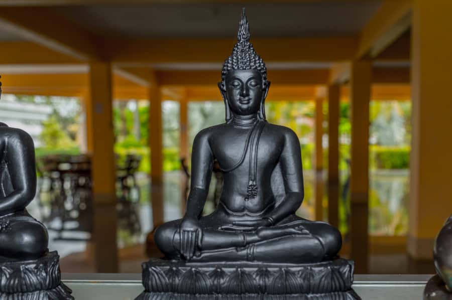 Phuket: Turtles, Rafting & Elephants Private Ethical Tour - Herbal elephant time plus Ya Dom inhalers and Khanom Krok