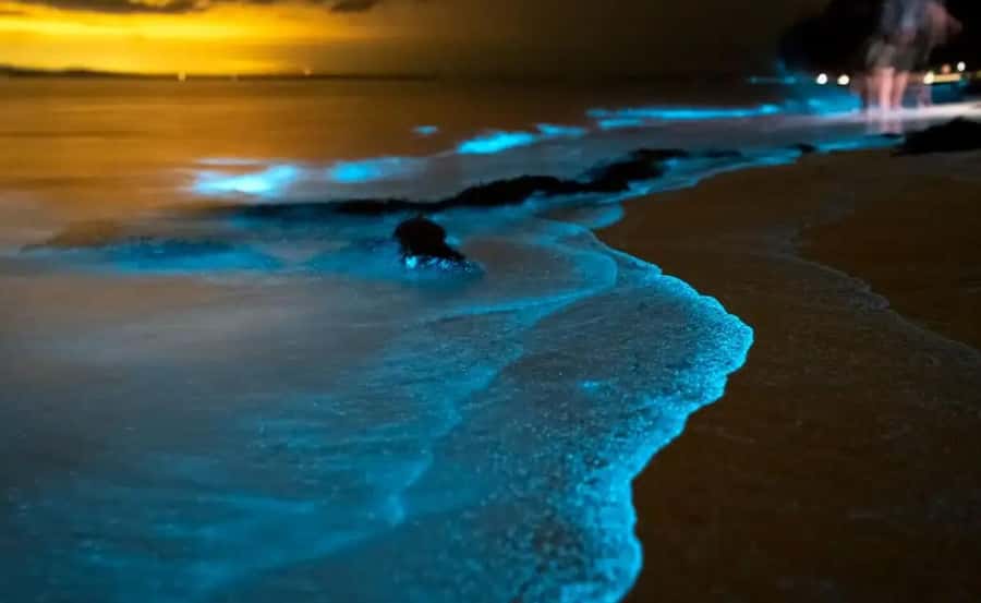 Phuket : Twilight Sea Canoe Tour with Glowing Plankton - Twilight Paddling in Phang Nga Bay, With Glowing Plankton at Dusk