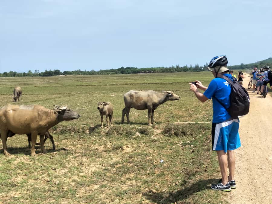 Phuket: Yao Island Cycling and Beach Day-Trip - Who This Phuket Bike and Beach Day Trip Suits