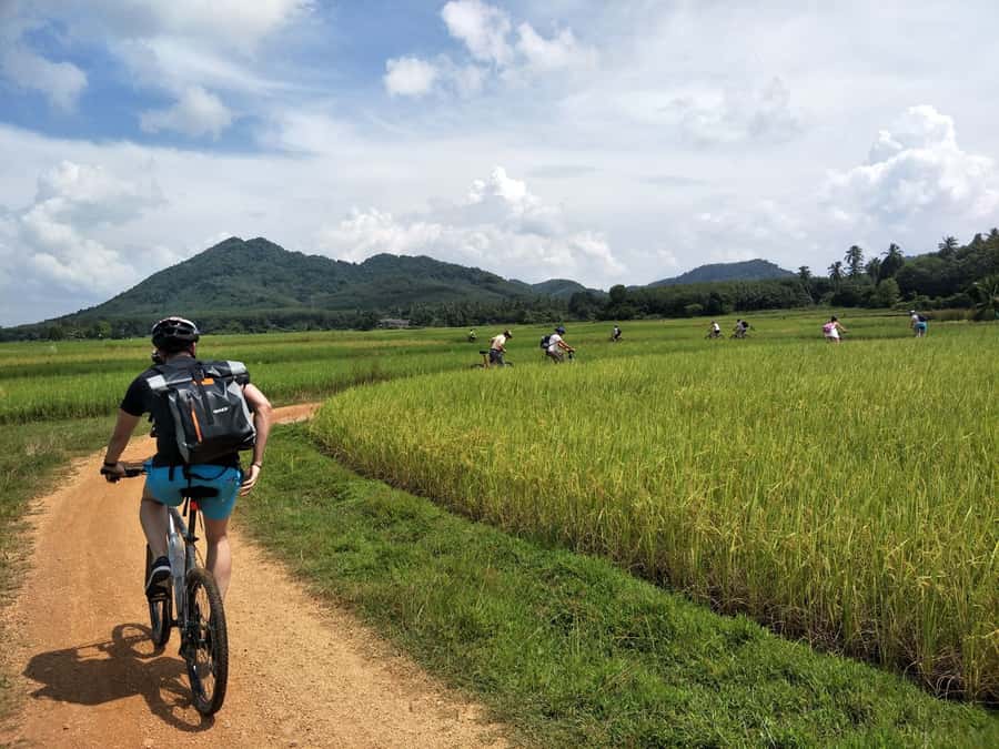 Phuket: Yao Island Cycling and Beach Day-Trip - Morning Cycling Through Rice, Mangroves, and Stilt Life