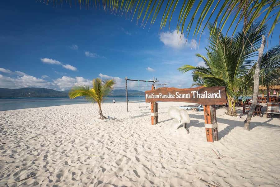 Pig Island(Koh Mudsum) and Koh Tan Half Day Snorkeling Tour - Key things to know before you go
