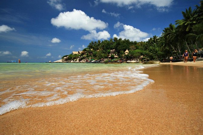 Pig Island Private Longtail Boat Trip From Koh Samui - Key things to know before you go