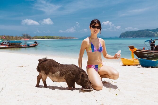 Pig Island Private Longtail Boat Trip From Koh Samui - Why Pig Island (Koh Mat Sum) feels oddly fun