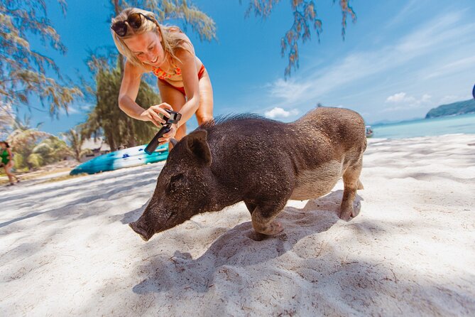 Pig Island Private Longtail Boat Trip From Koh Samui - Price and value: is $123.34 per group worth it?