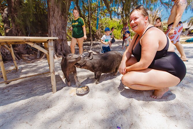 Pig Island Private Longtail Boat Trip From Koh Samui - Who this private Pig Island trip fits best