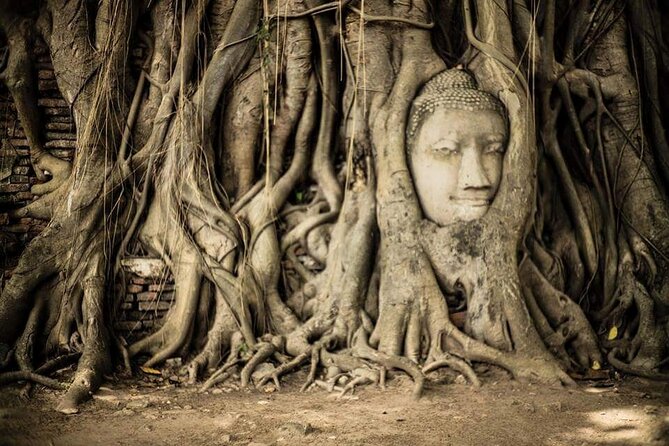 PRIVATE Ayutthaya + SUNSET Boat Tour + Light up The NIGHT - Long-tail boat around the ruins and Wat Chaiwatthanaram at sunset