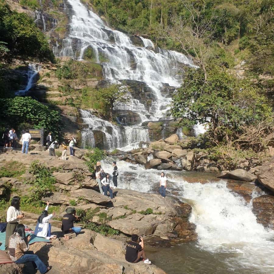 Private Day Tour Doi Inthanon With Mae Ya Waterfall - Who This Private Tour Suits Best