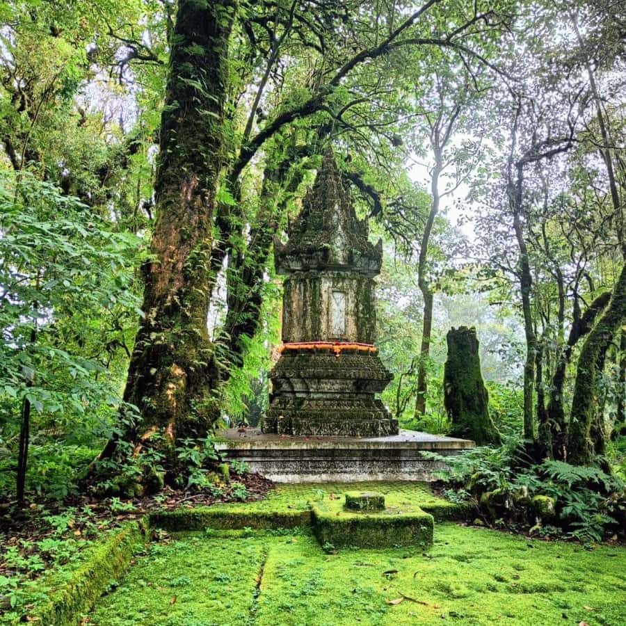 Private Day Tour Doi Inthanon With Mae Ya Waterfall - Timing Reality: A Full 9 Hours With a Few Walks