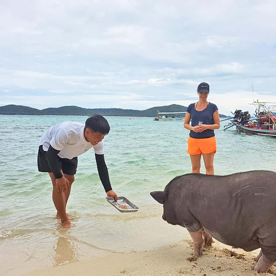 PRIVATE KOH SAMUI TOURS - SECRET ISLANDS BOAT TRIP - Koh Tan Mangroves: Paved Paths and Plant-Spotting