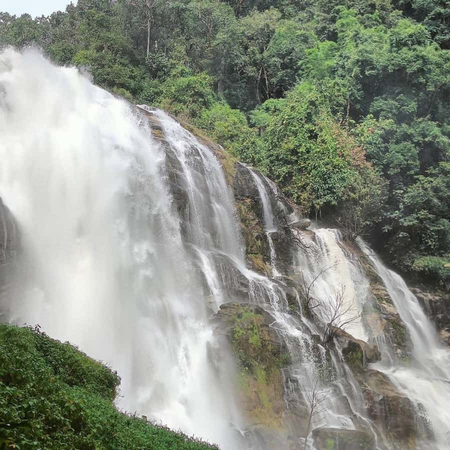 Private Tour Doi Inthanon, Trekking Kew Mae Pan Nature Trail - Doi Inthanon’s altitude, cold air, and why it feels different