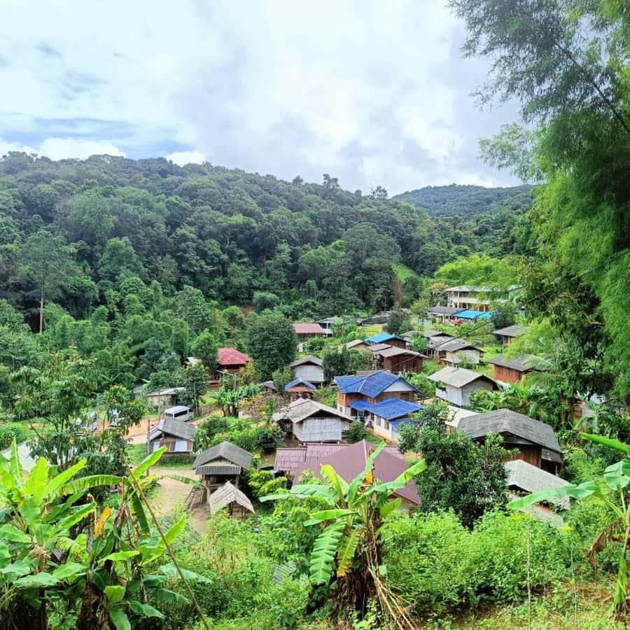 Private Tour Doi Inthanon, Trekking Kew Mae Pan Nature Trail - Hmong market stop: quick browsing with purpose