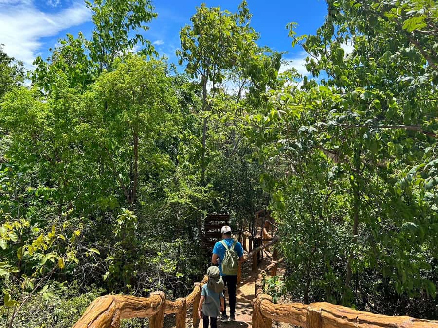 Private Tour Pha Chor Canyon & Doi Inthanon National Park - Phra Mahathat Naphamethanidon and lunch: a break that keeps the day moving