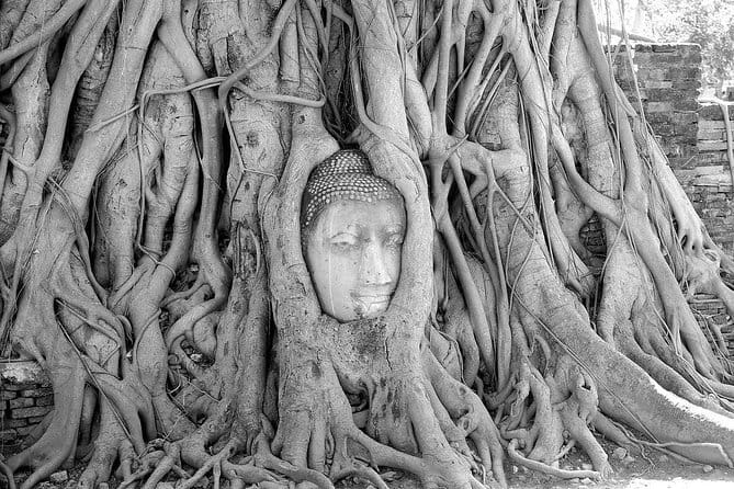 Private Trip : Ayutthaya historical venture, boat ride & lunch - Why This Private Ayutthaya Day Feels Easier
