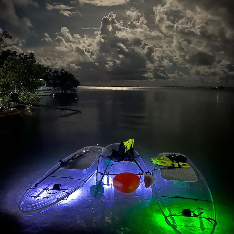 Railay: Illuminated Clear Kayak Night Tour Bioluminescence - Sunset paddle under limestone cliffs, the view you came for