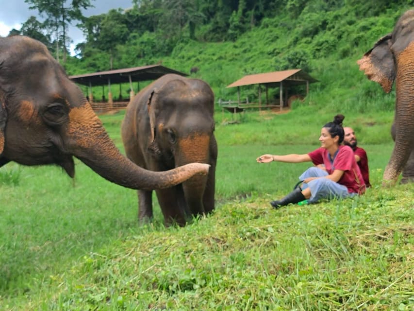 Rantong elephant sanctuary Chiangmai - Practical tips that make the experience easier