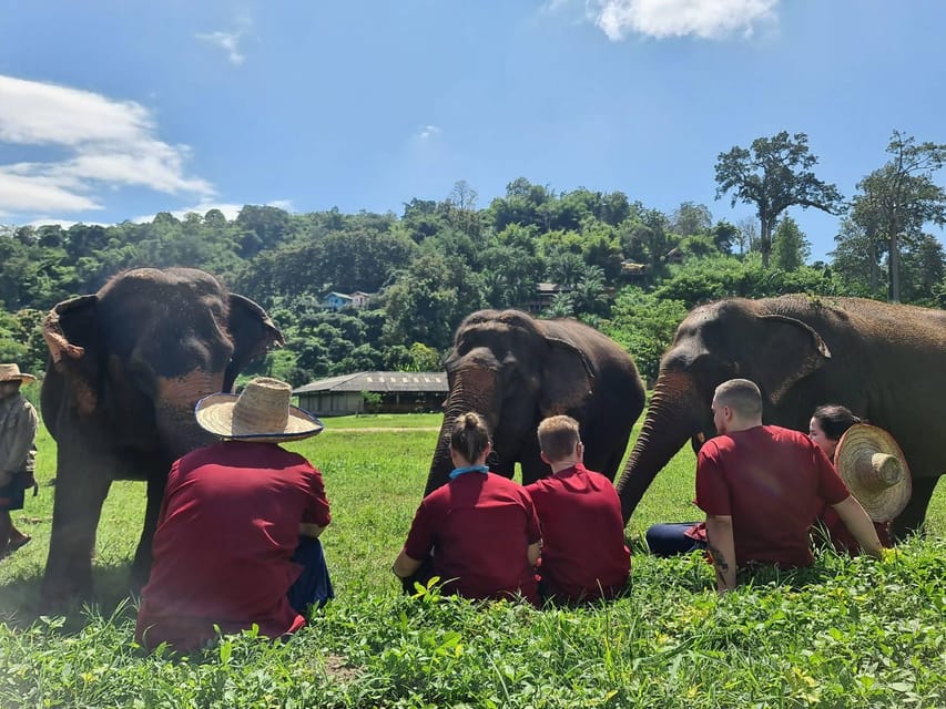 Rantong elephant sanctuary Chiangmai - Bath time: what to expect and why it is more than just “fun”