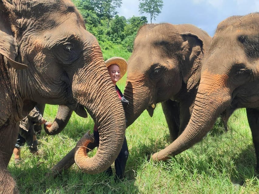 Rantong elephant sanctuary Chiangmai - What the price covers and why $57 can be fair value