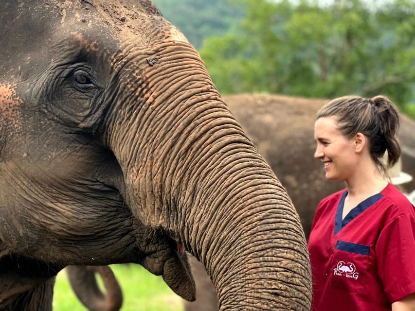 Rantong elephant sanctuary Chiangmai - Who this elephant sanctuary visit is best for